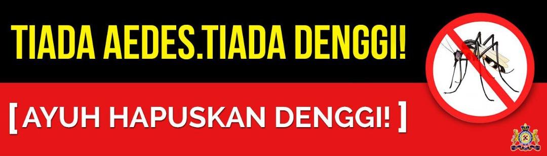 aedes_denggi